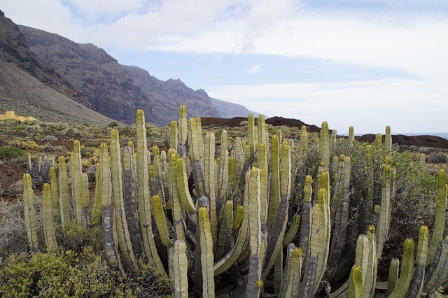 May is a great month to explore Gran Canaria