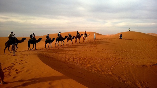 Camel ride Gran Canaria